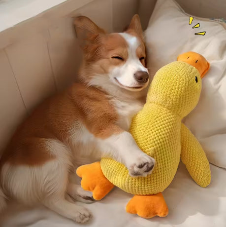Peluche canard pour chien douce et résistante avec squeaker intégré pour jouer et câliner