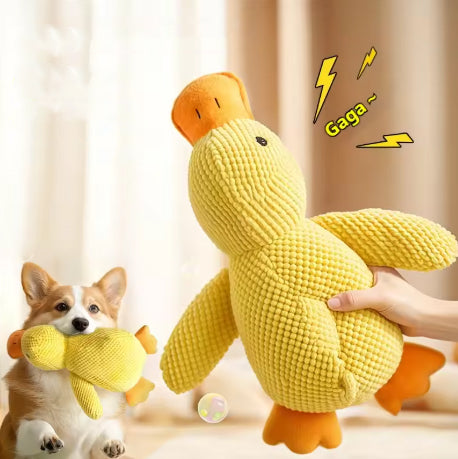 peluche canard pour chien douce avec squeaker intégré pour jeu et confort