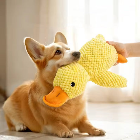 Peluche canard pour chien douce et résistante avec squeaker, jouet idéal pour le jeu et le confort des chiens