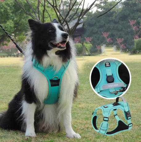Harnais anti-traction pour chien en maille respirante avec sangles ajustables et poignée de contrôle renforcée.