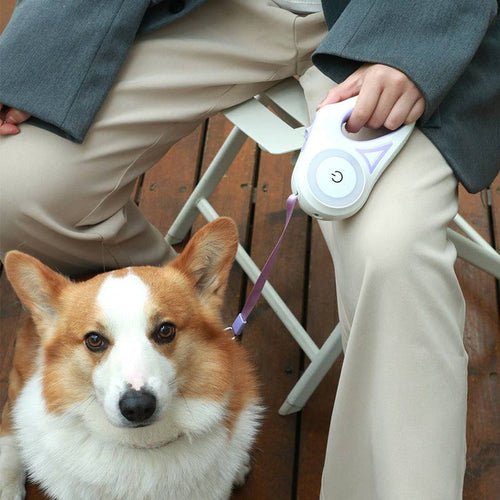 laisse rétractable pour chien avec poignée ergonomique et sangle en nylon résistante