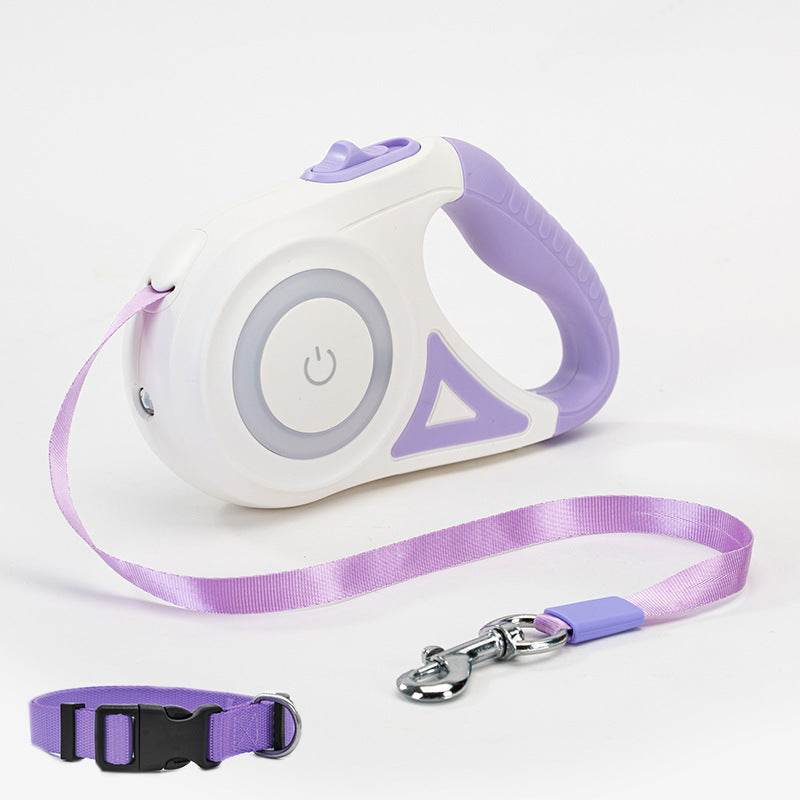 Laisse rétractable pour chien avec poignée ergonomique et sangle en nylon robuste, 5 mètres de longueur maximale, contrôle facile et sécurité optimale pour promenades.